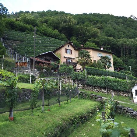 Casa Immersa Nel Vigneto Roveredo Exteriér fotografie