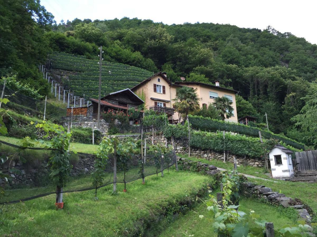 Casa Immersa Nel Vigneto Roveredo Exteriér fotografie