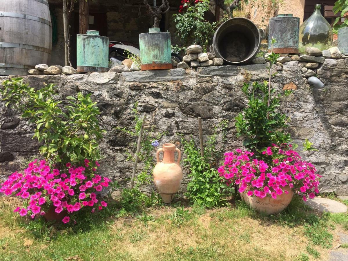 Casa Immersa Nel Vigneto Roveredo Exteriér fotografie