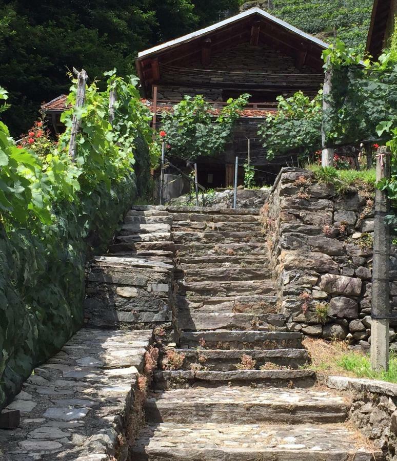 Casa Immersa Nel Vigneto Roveredo Exteriér fotografie