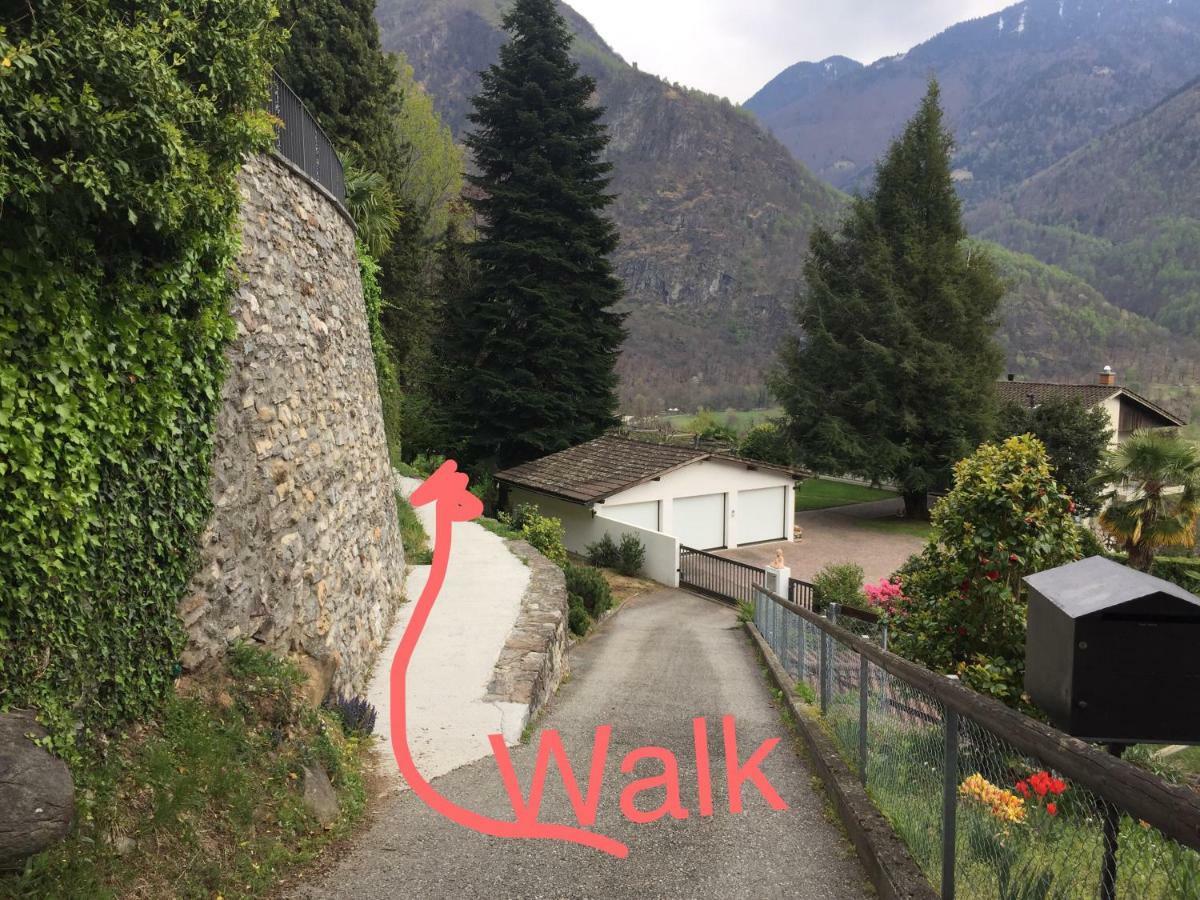 Casa Immersa Nel Vigneto Roveredo Exteriér fotografie